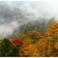 Схема вышивки «№511831»