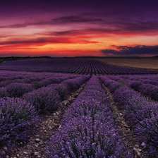 Схема вышивки «№511832»