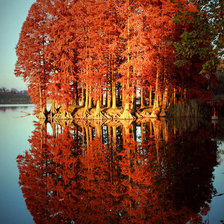 Схема вышивки «№511835»