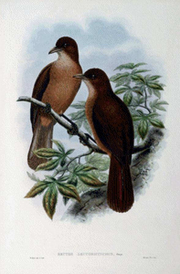 Серия "Птички-невелички" - птицы, пейзаж - предпросмотр