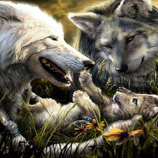 Схема вышивки «Волчья семья»