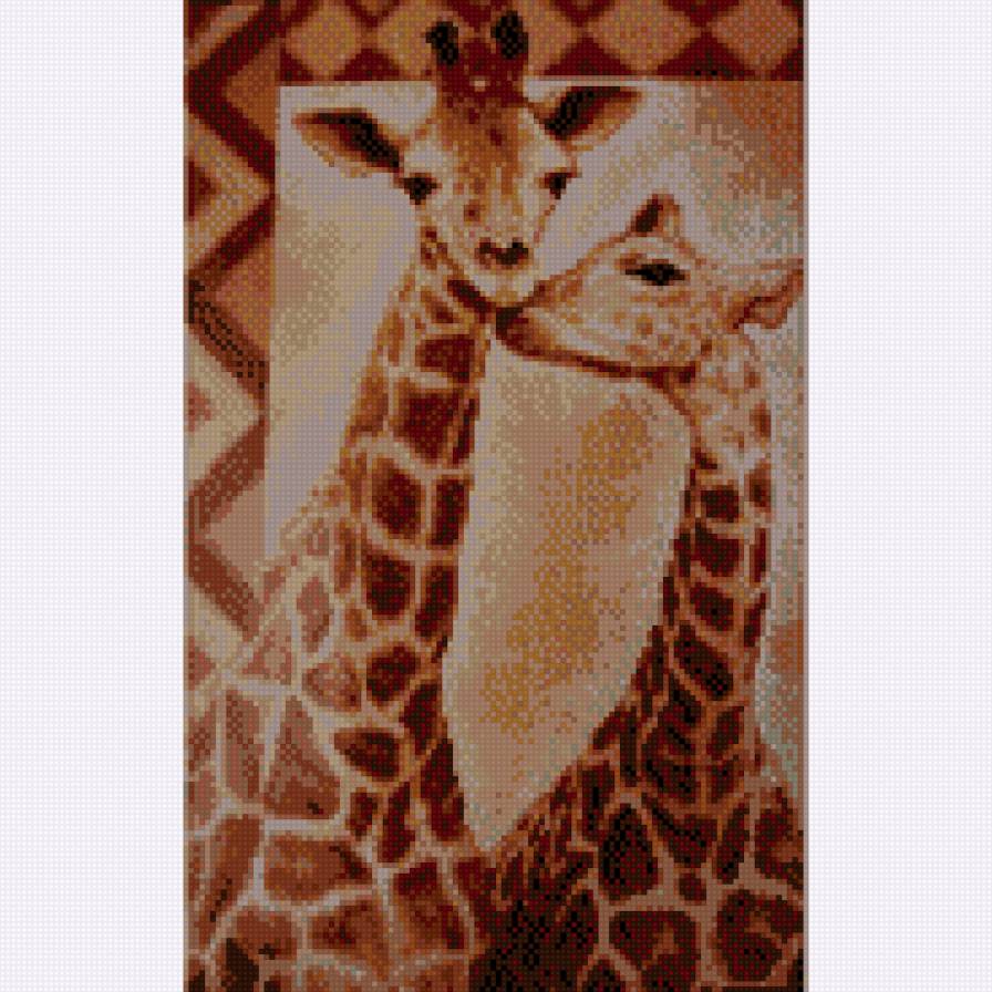 Жирафы - природа, жирафы, животные - предпросмотр