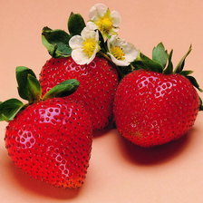 Схема вышивки «№512024»