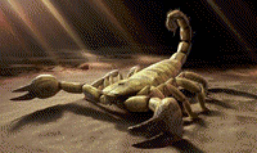 скорпион - паукообразные - предпросмотр