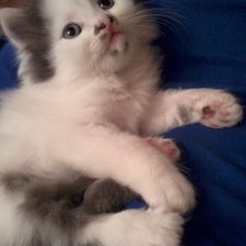 Схема вышивки «Боня»