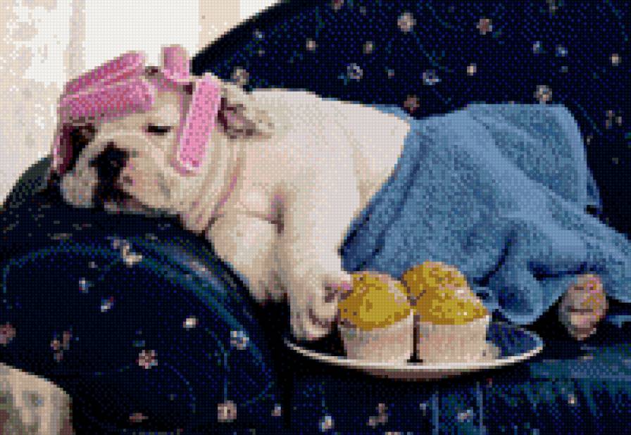 щенок - забавные животные - предпросмотр