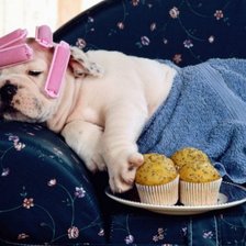 Схема вышивки «щенок»