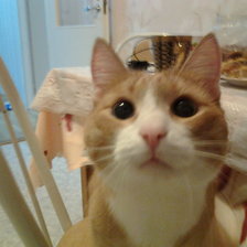 Схема вышивки «чубайсик»