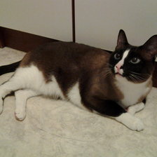 Схема вышивки «карамелька»