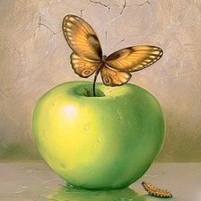 Схема вышивки «Эволюция гусеницы в бабочку-ФЭНТЕЗИ (живопись)»