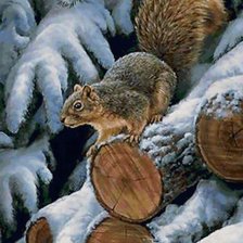 Схема вышивки «белочка»