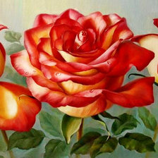 Схема вышивки «розы»