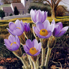 Схема вышивки «весна пришла»