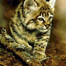 Схема вышивки «камышовый кот»