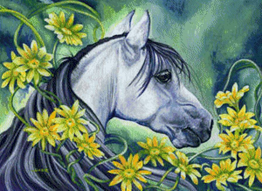 лошадь - лошади, фэнтези, лошадь - предпросмотр