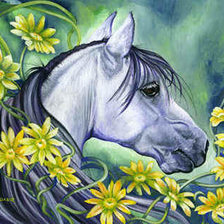 Схема вышивки «лошадь»