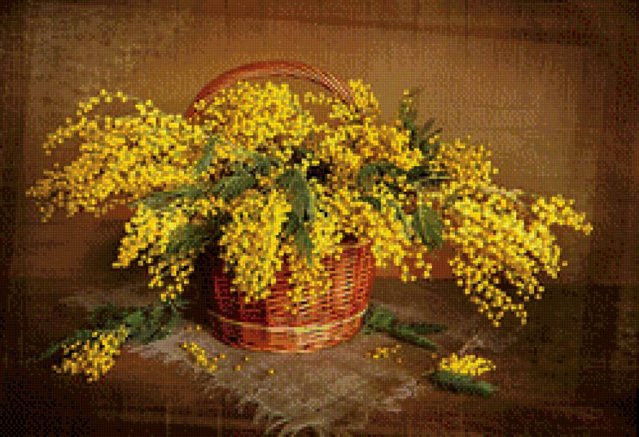 корзинка мимозы - букет, мимоза, корзинка.цветы - предпросмотр