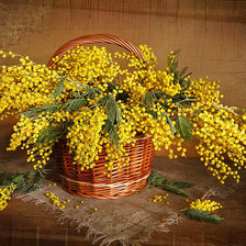 Схема вышивки «корзинка мимозы»