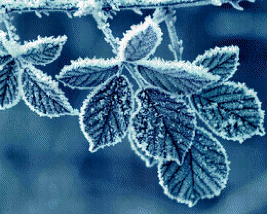 Зимушка - зима, иней, листья, зимушка - предпросмотр