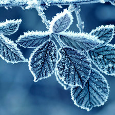 Схема вышивки «Зимушка»