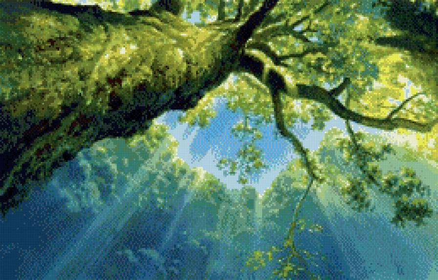 Чудесное утро - лес, дерево, свет, солнце, утро - предпросмотр