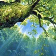 Схема вышивки «Чудесное утро»