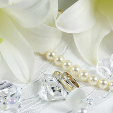 Схема вышивки «Нежность чувств»