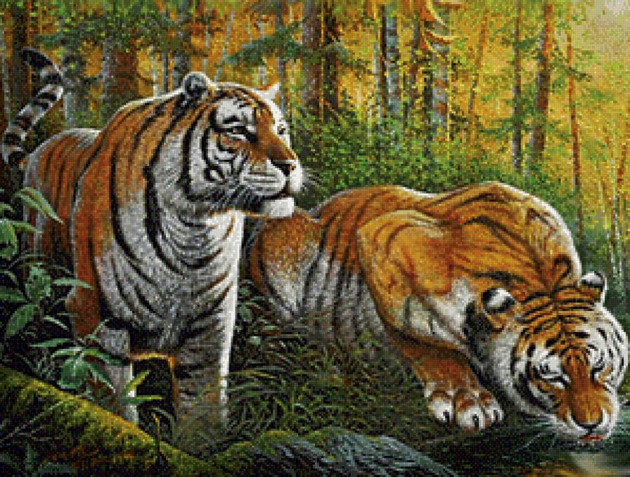 тигр - символ величия и мощи - предпросмотр