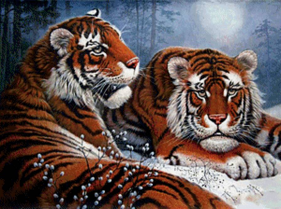тигр - символ величия и мощи - предпросмотр