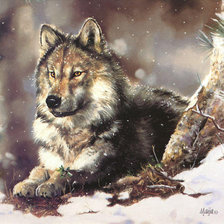 Схема вышивки «Волк»