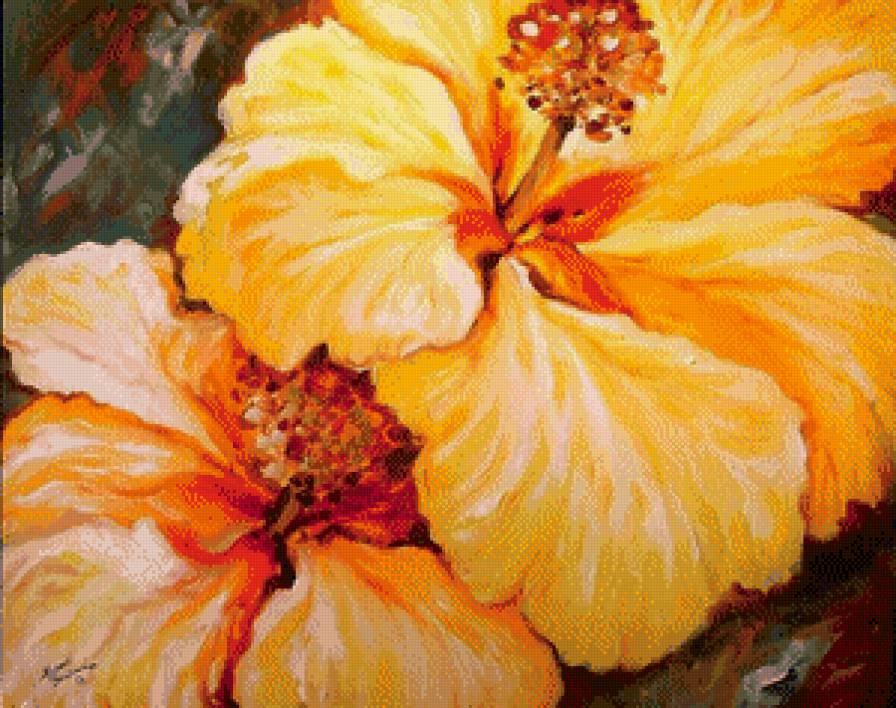 Желтый цветок - цветы, гибискусы - предпросмотр