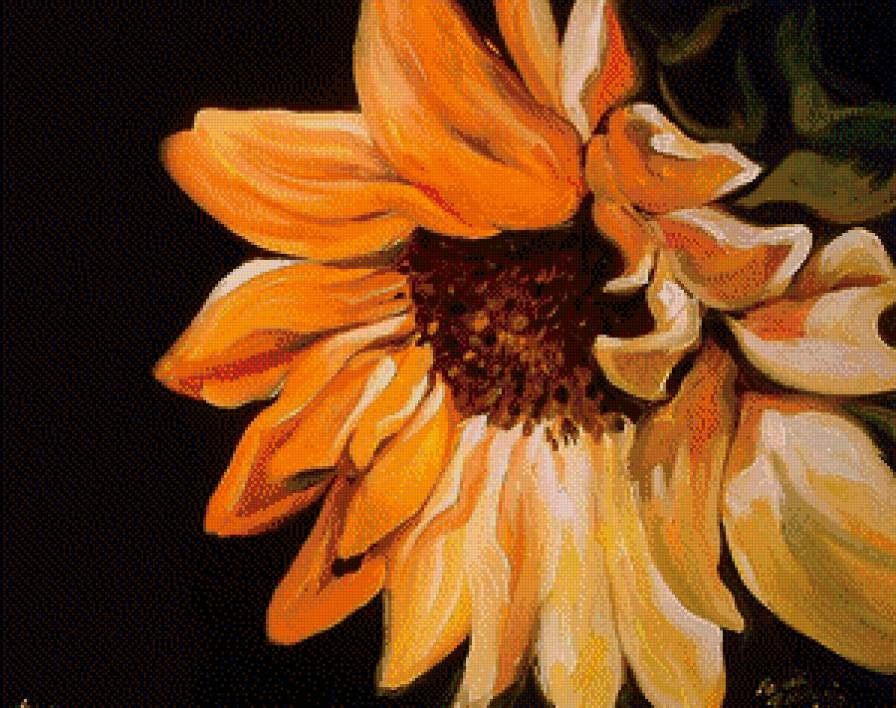 Подсолнух - подсолнухи, цветы - предпросмотр