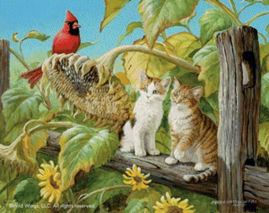 Кошки - животные, котята, кошки - предпросмотр