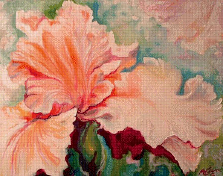 Ирис - ирисы, цветы - предпросмотр