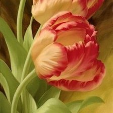 Схема вышивки «Тюльпаны»