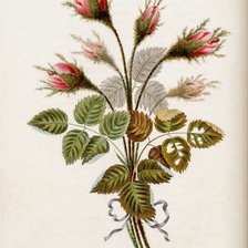 Схема вышивки «№512768»