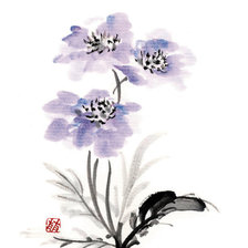 Схема вышивки «анемоны»