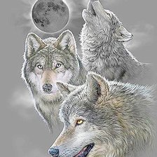 Трио хищников