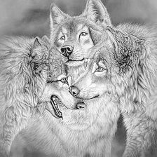 Схема вышивки «Трио хищников»