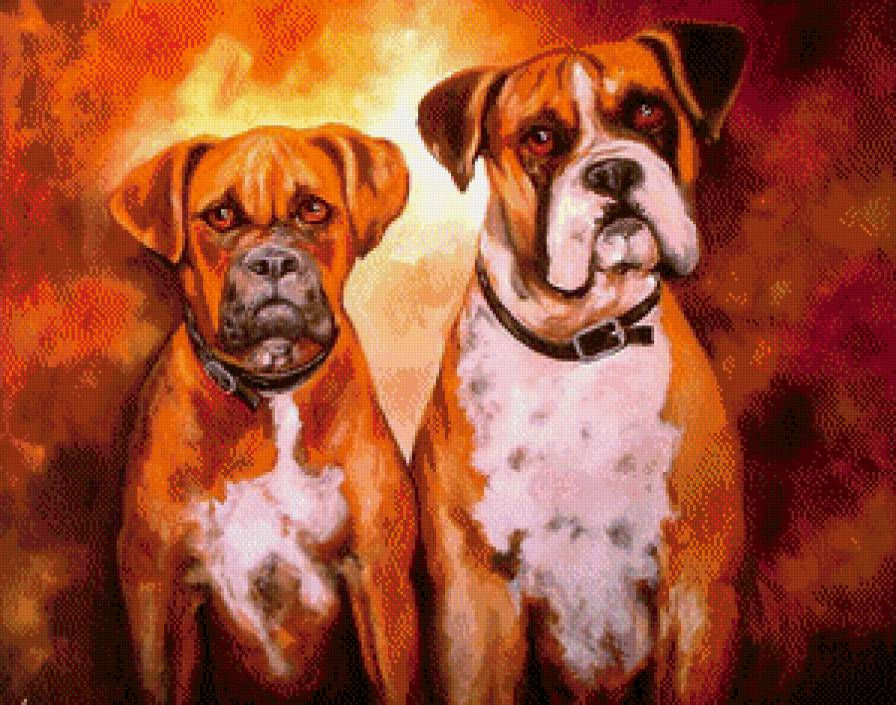 Друзья - животные, собаки - предпросмотр