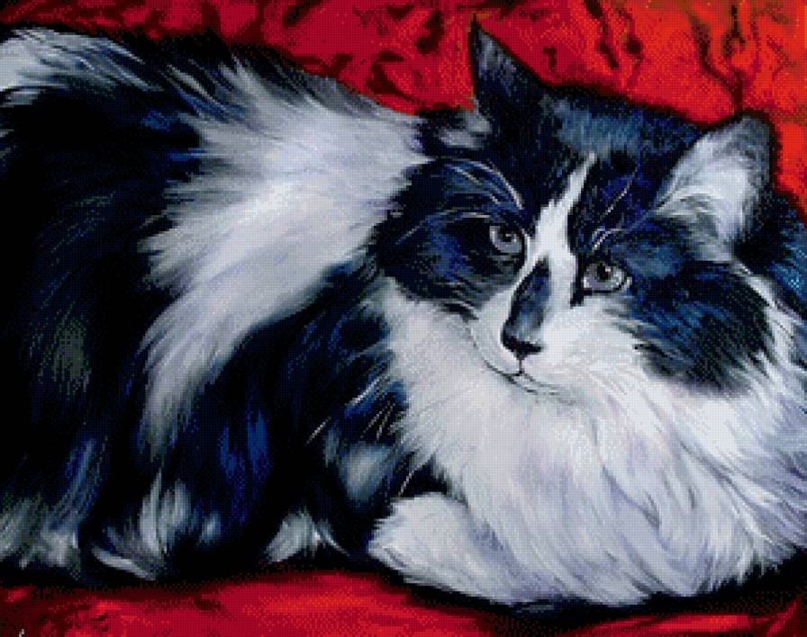 Киса - кошки, животные - предпросмотр