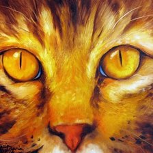 Схема вышивки «Кошачий взгляд»