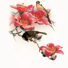 Схема вышивки «птички на ветке»