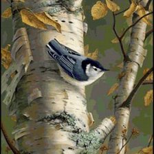 Схема вышивки «на берёзе»