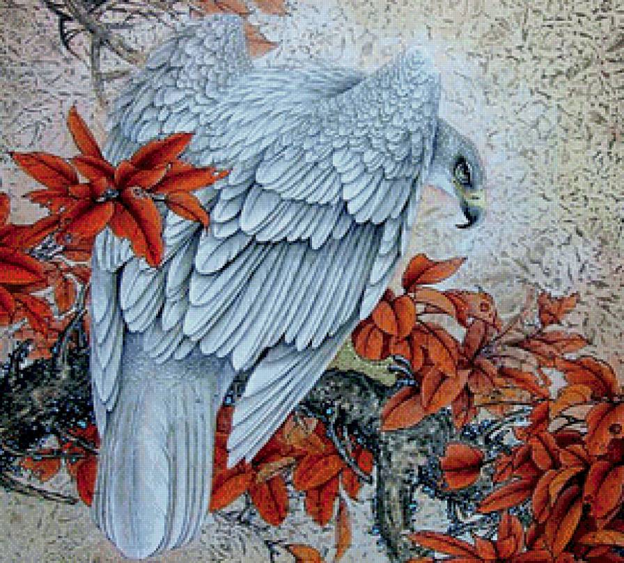 Орел - орел, птицы - предпросмотр