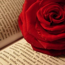 Схема вышивки «Дневник памяти»