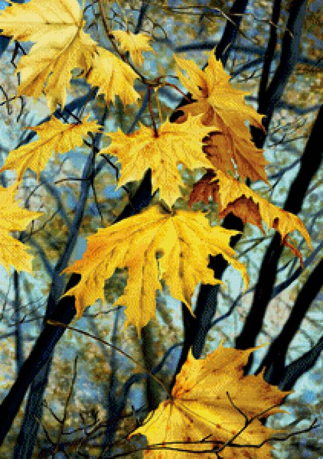 осенний пейзаж - лес, природа, осень - предпросмотр