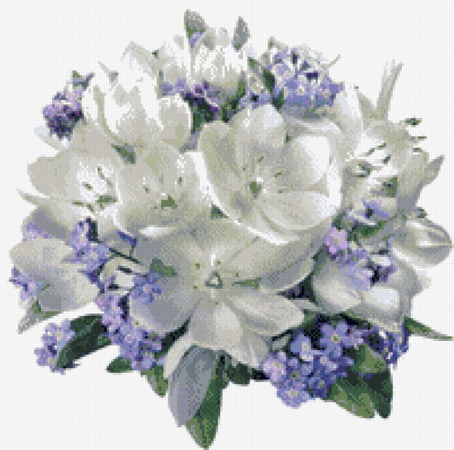 незабудки - цветы, незабудки - предпросмотр