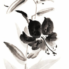 Схема вышивки «лилии»