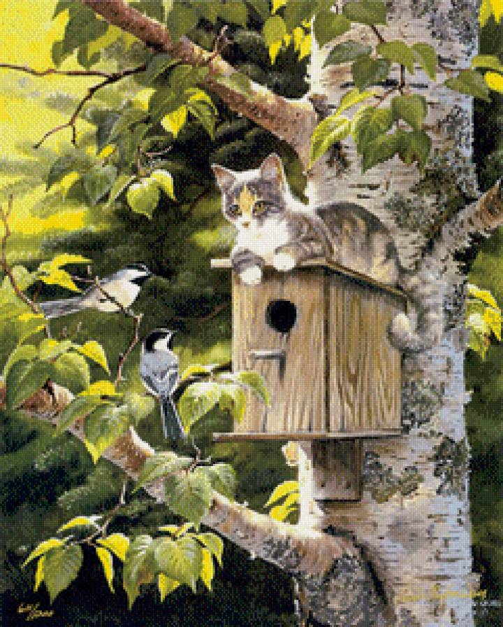 Кошка и птицы - лето, село - предпросмотр